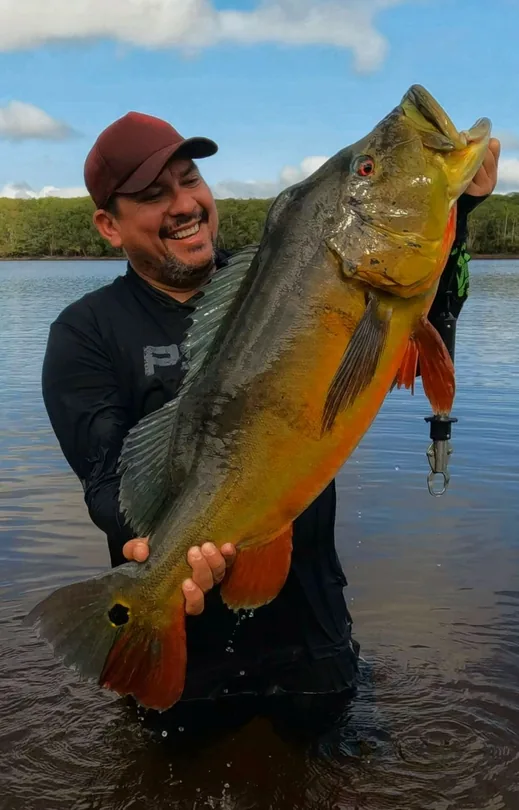Rodrygo holding his personal record peacock bass, 90 cm and 25 lb, caught in 2023 at Atau&iacute; Mirim on the Rio Negro